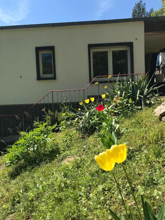 Ferienhaus Am Wald Wendehausen Exterior foto